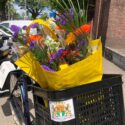 Deelnemers Roze Salon in de watten gelegd