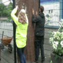 Wat gebeurde er de afgelopen week?
